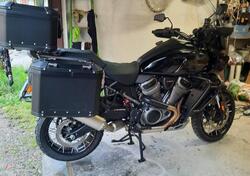 Harley-Davidson Pan America 1250 Special (2020 - 25) usata