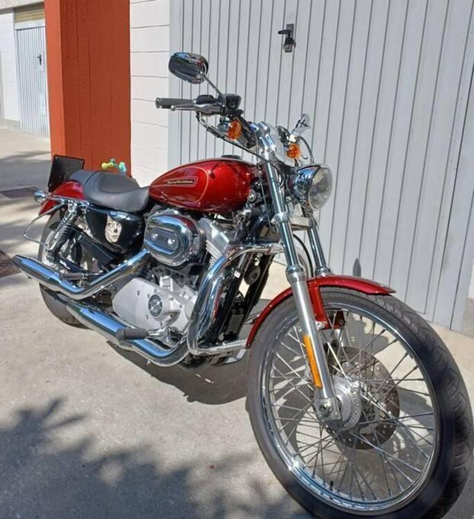 Harley-Davidson 883 Custom (2008 - 12) - XL 883C
