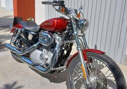 Harley-Davidson 883 Custom (2008 - 12) - XL 883C usata