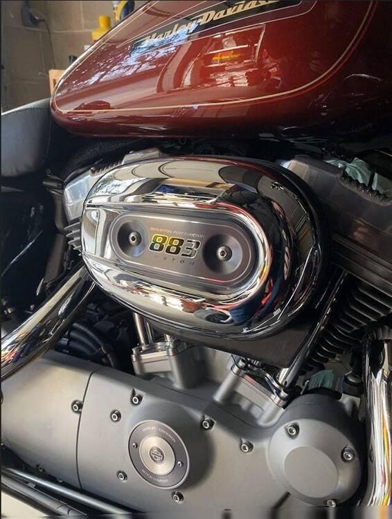 Harley-Davidson 883 Custom (2008 - 12) - XL 883C (2)