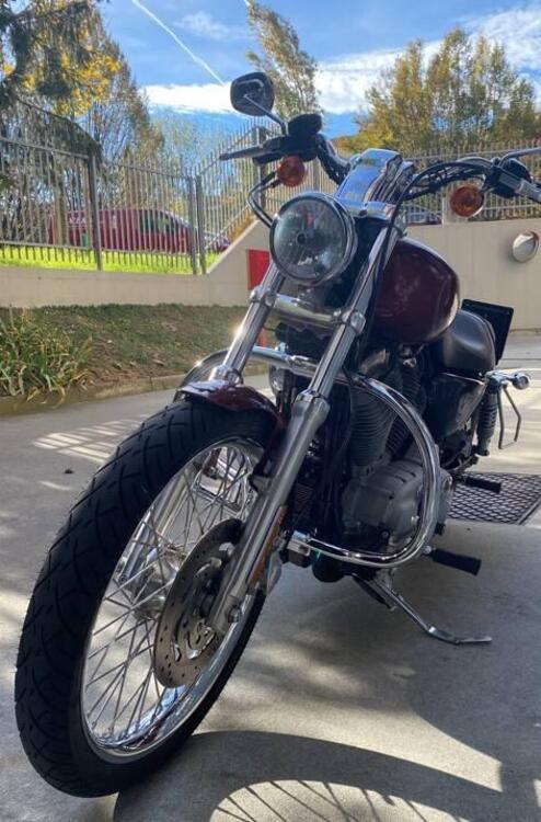Harley-Davidson 883 Custom (2008 - 12) - XL 883C (3)