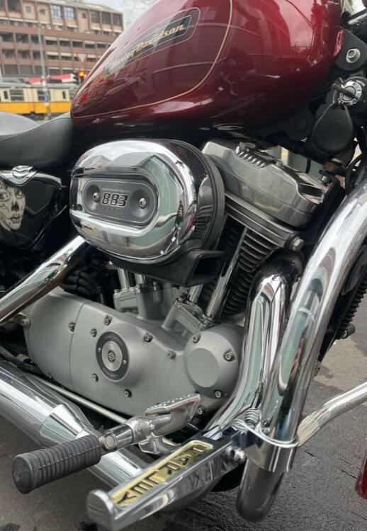 Harley-Davidson 883 Custom (2008 - 12) - XL 883C (5)