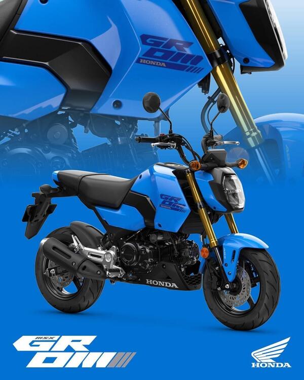 Honda MSX 125 Grom (2021 - 25)