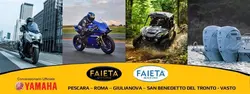 Faieta Motors Pescara