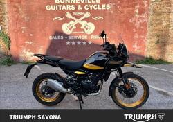 Royal Enfield Himalayan 450 (2024 - 25) usata