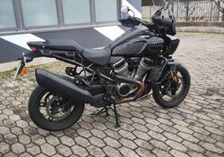 Harley-Davidson Pan America 1250 Special (2020 - 25) usata