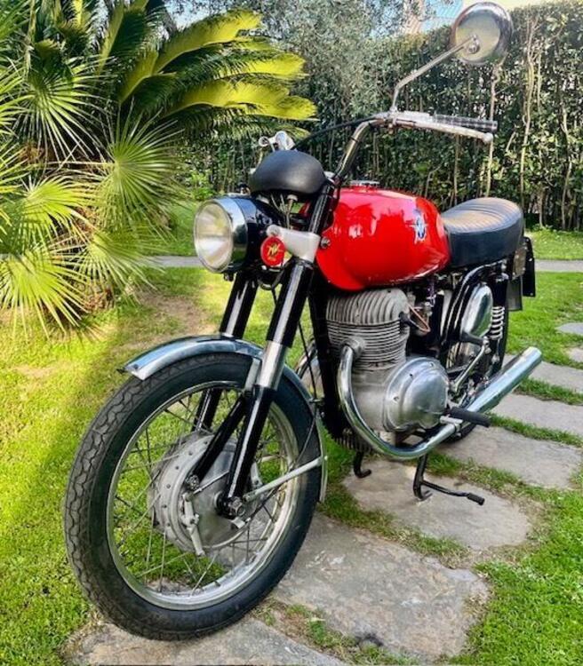 MV Agusta 350 Gt (3)