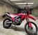 Honda CRF 300 L (2021 - 24) (6)