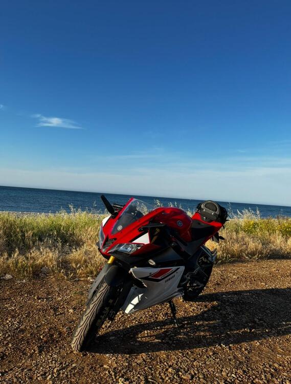 Yamaha YZF R125 (2014 - 16) (2)