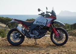 Ducati DesertX Rally (2024 - 25) nuova