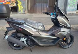 Wottan Motor Storm-X+ 125 (2024 - 25) nuova