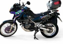 Kawasaki KLE 500 (1991 - 00) usata