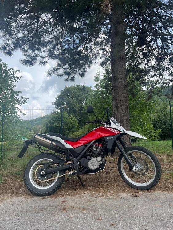 Husqvarna TR 650 Terra ABS (2012 - 13) (2)