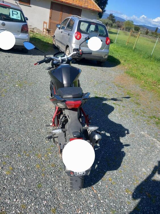 Benelli BN 125 (2018 - 20) (3)