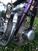 Sunbeam S8- 500 cc., Chopper anno 1955 (13)