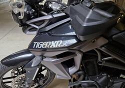 Triumph Tiger 800 XRx (2015 - 17) usata