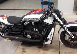 Harley-Davidson 1250 V-Rod (2008 - 12) - VRSCAW usata
