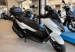 Honda Forza 350 (2022 - 24) usata