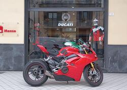 Ducati Panigale V4 S 1100 (2018 - 19) usata