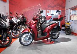 Honda SH 350 (2021 - 24) usata