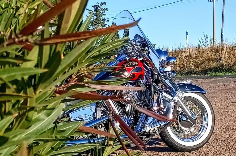Kawasaki Vulcan VN 900 Classic (2006 - 10)