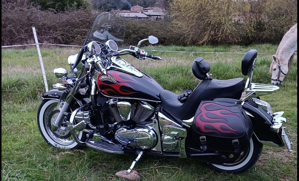 Kawasaki Vulcan VN 900 Classic (2006 - 10) (3)