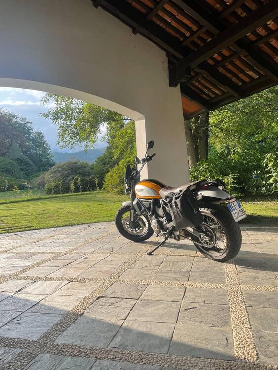 Ducati Scrambler 800 Classic (2015 - 16) (3)