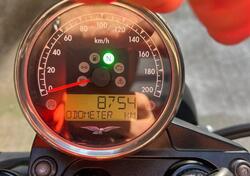 Moto Guzzi V7 III Stone (2017 - 20) usata