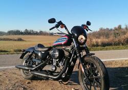Harley-Davidson 1200 Iron (2018 - 20) - XL1200N usata