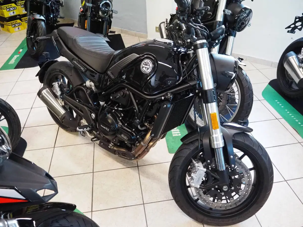 Benelli Leoncino 500 (2021 - 25) (2)