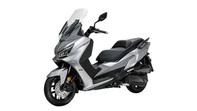 Sym Joymax 300