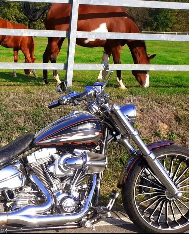 Harley-Davidson 1800 Breakout (2012 - 14) - FXSBSE (2)
