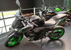 Kawasaki Z 500 (2024 - 25) nuova