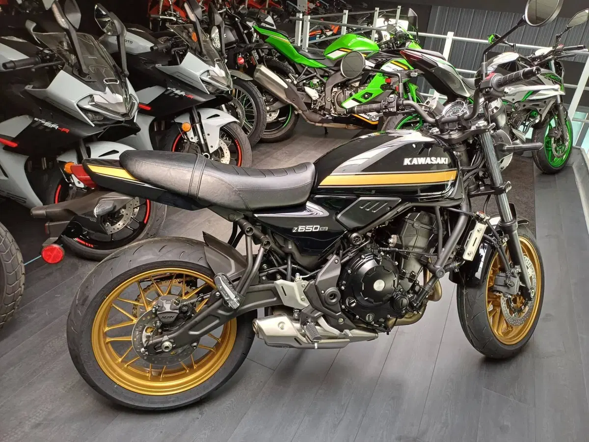 Kawasaki Z 650 RS (2025 - 26) (3)