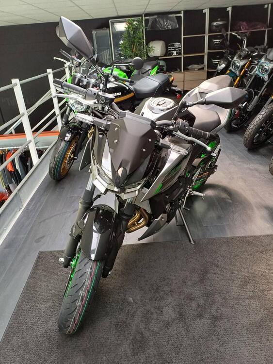 Kawasaki Z 500 (2024 - 25) (2)