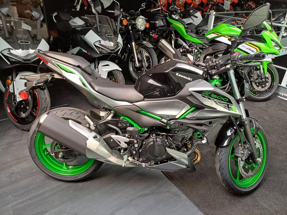 Kawasaki Z 500 (2024 - 25) (3)
