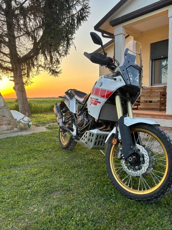 Yamaha Ténéré 700 Rally Edition (2022 - 24)