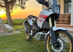 Yamaha Ténéré 700 Rally Edition (2022 - 24) usata