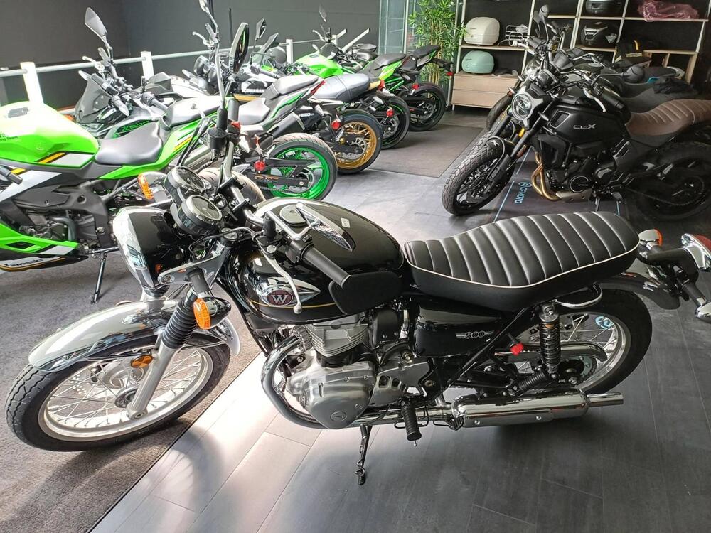 Kawasaki W 800 (2021 - 25)