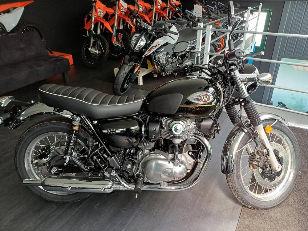 Kawasaki W 800 (2021 - 25) (4)