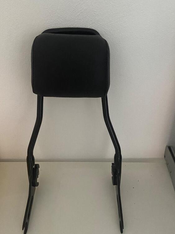 Harley-Davidson 1690 Slim (2011 - 16) - FLS (2)