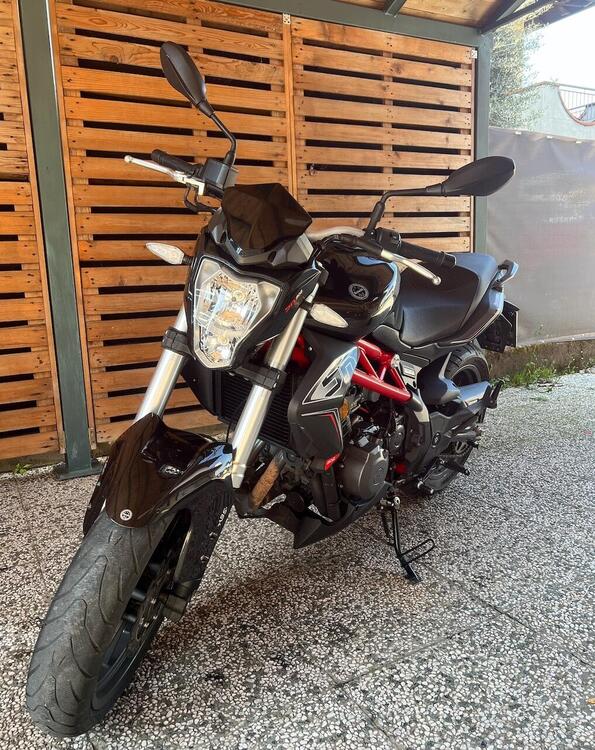 Benelli BN 302 S (2019 - 20) (2)