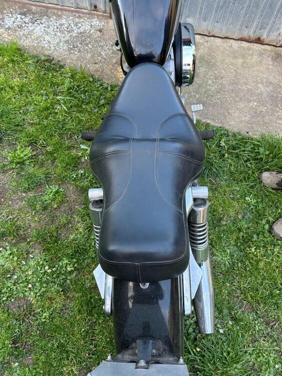Harley-Davidson 883 Standard (2001 - 05) - XL 883 (3)
