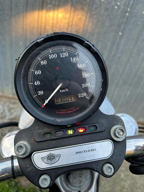 Harley-Davidson 883 Standard (2001 - 05) - XL 883 (5)