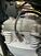 Harley-Davidson 883 Standard (2001 - 05) - XL 883 (9)