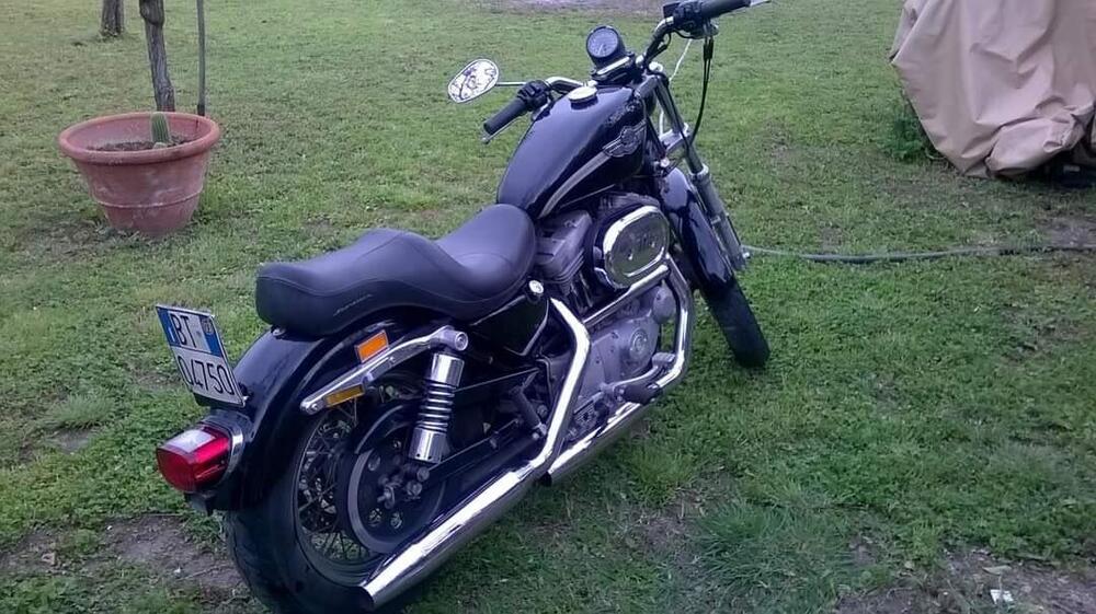 Harley-Davidson 883 Standard (2001 - 05) - XL 883 (2)