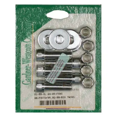 Viti brugola con dadi e rondelle cromate per puleg 