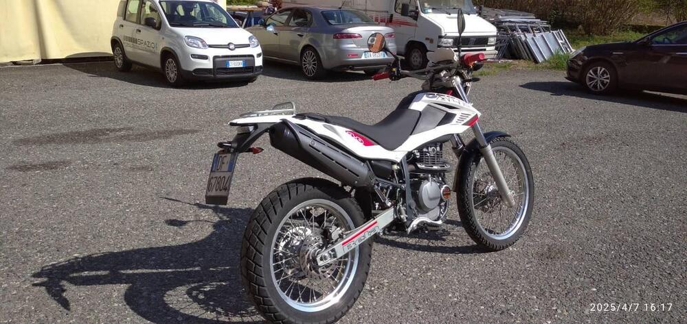 Betamotor Alp 4.0 (2008 - 17)