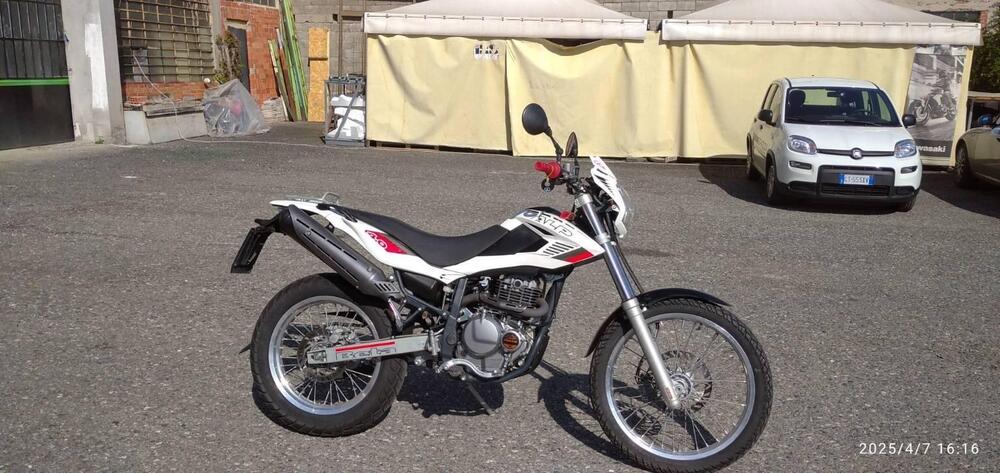 Betamotor Alp 4.0 (2008 - 17) (2)