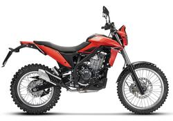 Betamotor Alp 4.0 (2024 - 25) nuova